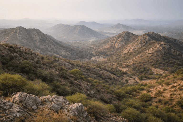 Aravali Supreme Court Stay 2025.png